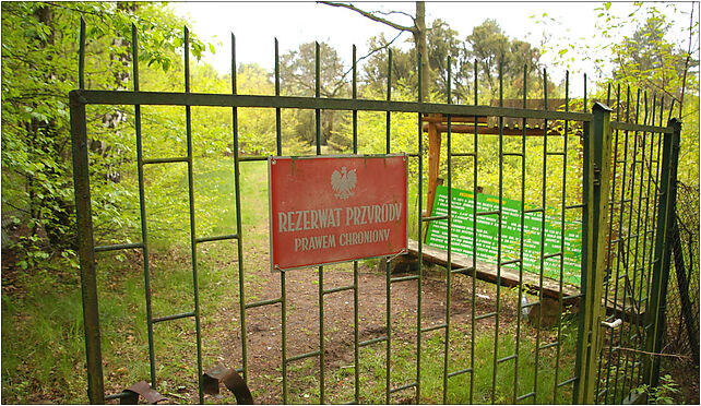 Rezerwat Ciosny, entrance, Jałowcowa, Rosanów 95-100 - Zdjęcia