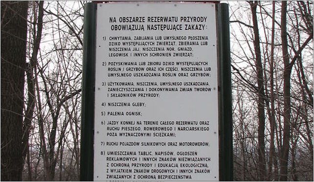 Rezerwat przyrody Lasek Miejski nad Puncowka - tablica, Błogocka 33 43-400 - Zdjęcia