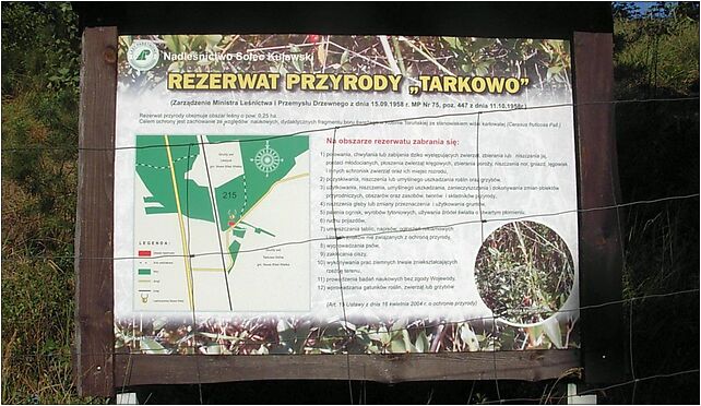 Rezerwat przyrody Tarkowo 1, Leszyce - Zdjęcia