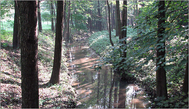 Riparian zone of Klodnica in Katowice Panewniki 2010, Książęca 40-725 - Zdjęcia