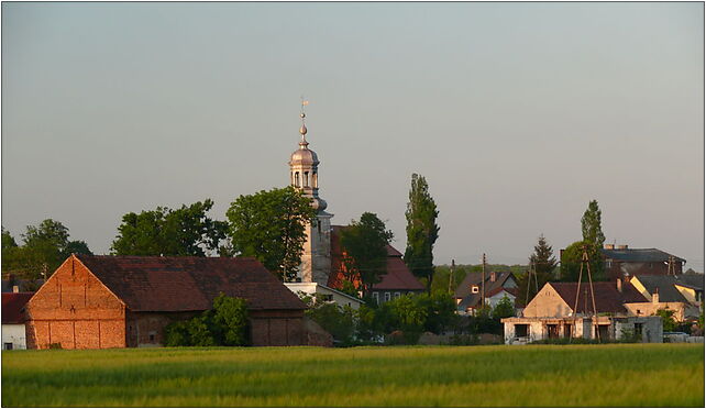 Rościsławice 10 V 2009 1, Dębowa, Rościsławice 55-120 - Zdjęcia