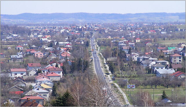 Rogi village, Dworska, Rogi 38-430 - Zdjęcia