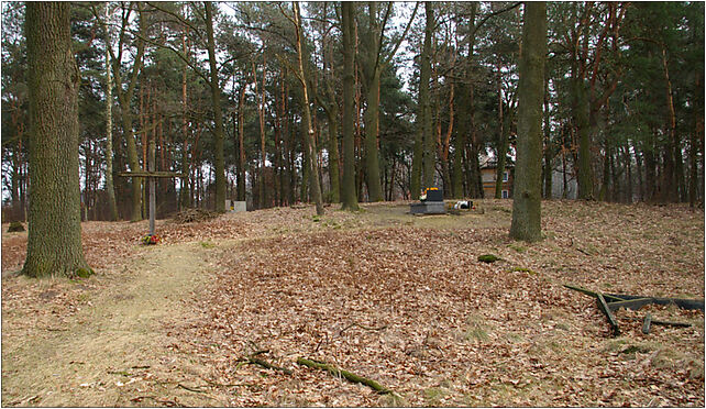 Rosanow cemetery 01, Smutna, Rosanów 95-100 - Zdjęcia