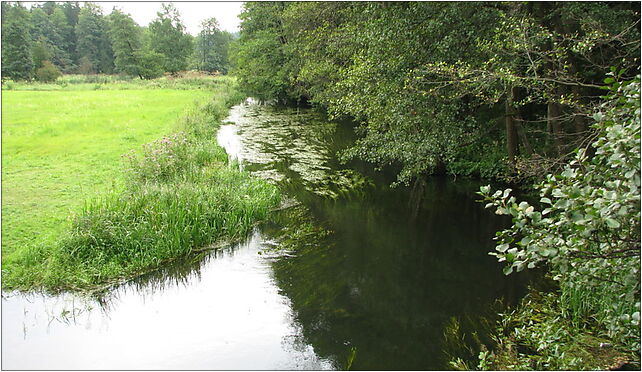 Rospuda river3, Sidory, Sidory 16-420 - Zdjęcia