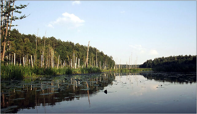 Rospuda river fixed, Sidory, Sidory 16-420 - Zdjęcia