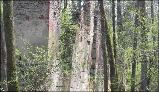 Roztoczanski National Park Czartowe Pole Ruins of Paper-Mill 23-460 - Zdjęcia