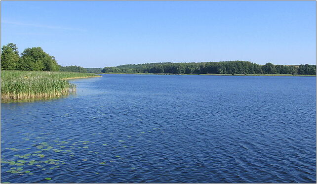 Rudno lake 2009-08, Kolejowa, Drawno 73-220 - Zdjęcia