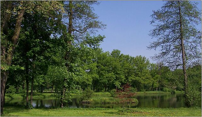 Rudy - Park, Cysterska, Rudy 47-430 - Zdjęcia