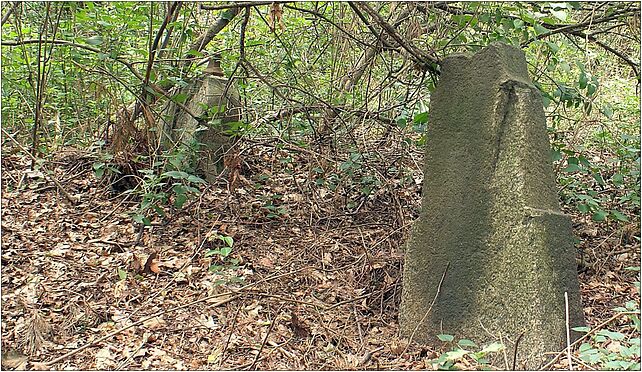 Ruins of cemetery Stanislawow Pierwszy, Konwaliowa 05-126 - Zdjęcia