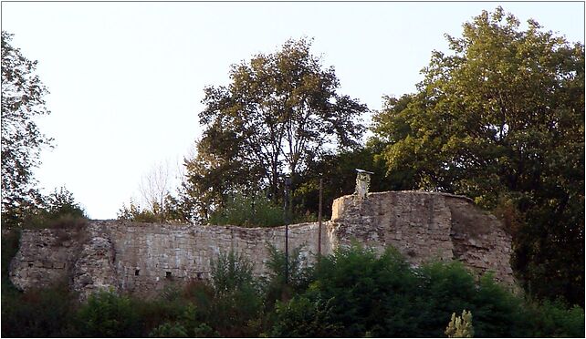 Ruiny zamku starostów w Muszynie, Kościelna971 46, Muszyna 33-370 - Zdjęcia