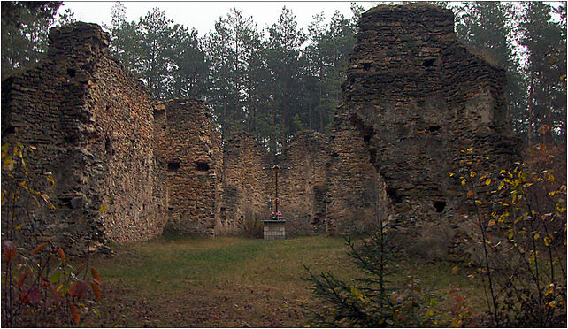 Ruiny zboru ariańskiego w Gruszczynie, Gruszczyn, Gruszczyn 29-105 - Zdjęcia