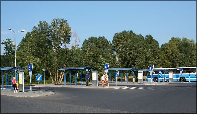 Rybnik dworzec autobusowy p, Wyglendy Jana 19, Rybnik 44-200 - Zdjęcia