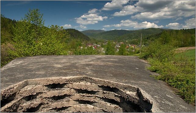 Rydzsmiglykorona, Przyborów 338, Przyborów 34-340 - Zdjęcia