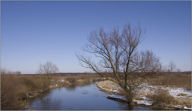 Rzeka Wieprz w okolicach Milejowa, Polska, Podchorążych, Dęblin 08-530 - Zdjęcia