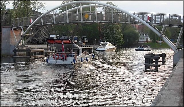 Słonecznik pod kładką operową, Mennica 7, Bydgoszcz 85-112 - Zdjęcia