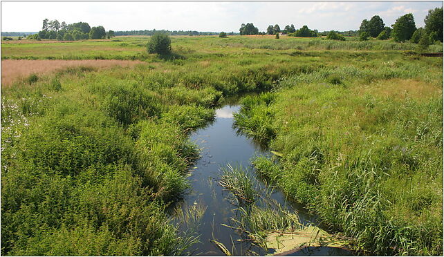 Słuczanka - Supraśl river, Sosnowa, Waliły-Stacja 16-040 - Zdjęcia