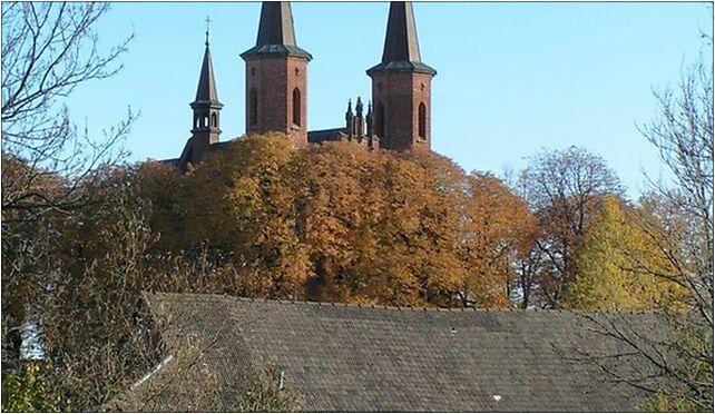 Saint Martin church in Łużna 3, Łużna, Dół k/Łużna 38-322 - Zdjęcia