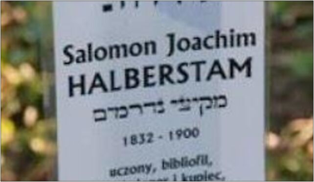 Salomon Joachim Halberstam grave, Damrota Konstantego 43-300 - Zdjęcia