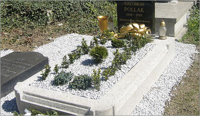 Salomon Pollak new grave, Damrota Konstantego, Bielsko-Biała 43-300 - Zdjęcia
