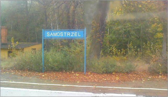 Samostrzel tablica przystankowa, Samostrzel, Samostrzel 89-110 - Zdjęcia