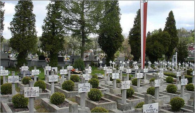 Sanok cemetery1, Rymanowska, Sanok 38-500 - Zdjęcia