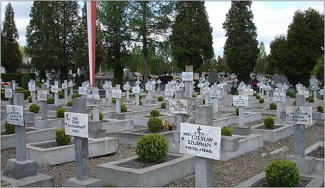 Sanok cemetery4, Rymanowska, Sanok 38-500 - Zdjęcia