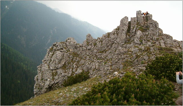 Sarnia Skała, Strążyska, Zakopane 34-500 - Zdjęcia