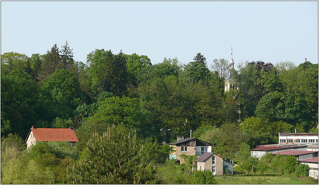 Siemianice pałac 02 V 2009, Siemianice - Zdjęcia