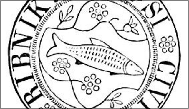 Sig rybnik, Wyglendy Jana 19, Rybnik 44-200 - Zdjęcia