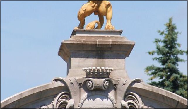 Silesian Central Park - ZOO gate 02, Żyrafy, al. 3, Chorzów 41-516 - Zdjęcia