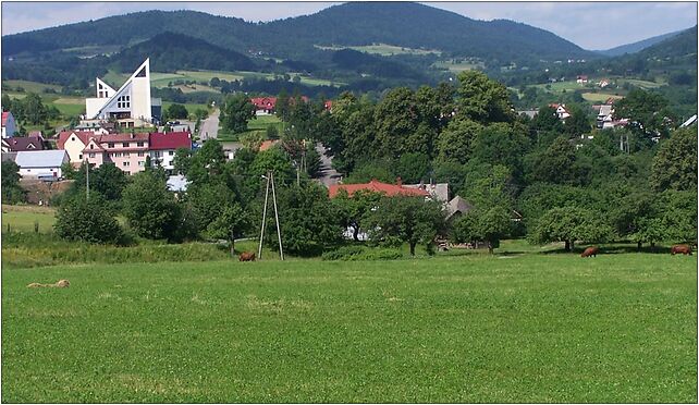 Skrzydlna a1, Gruszów, Gruszów 32-414 - Zdjęcia