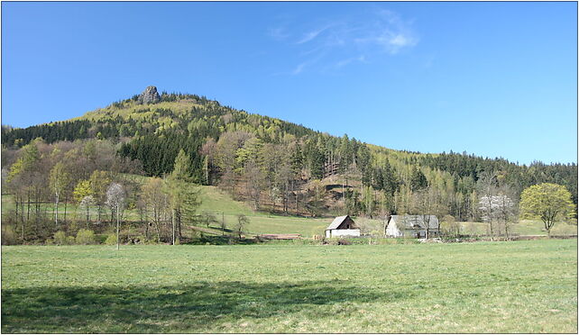 Sokolik from Trzcinsko 01, Trzcińsko, Trzcińsko 58-520 - Zdjęcia