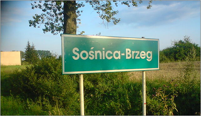 Sosnica-Brzeg (sign), Sośnica - Zdjęcia