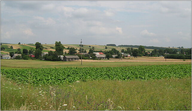 Stanisławów (pow. Biłgoraj) panorama, Malewszczyzna 22-440 - Zdjęcia