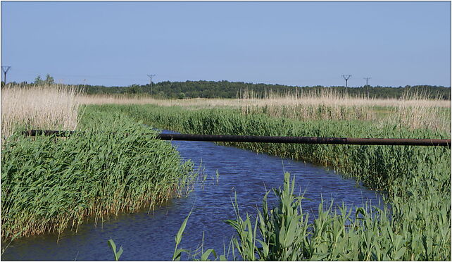 Stara Blotnica E 2009-06, Admiralska, Dźwirzyno 78-131 - Zdjęcia