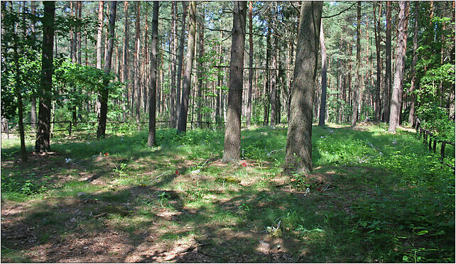 Stara Kamienna - Russian graveyard 01, Kamienna Stara - Zdjęcia