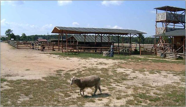 Starkowo zoo, Starkowo 89, Starkowo 64-234 - Zdjęcia