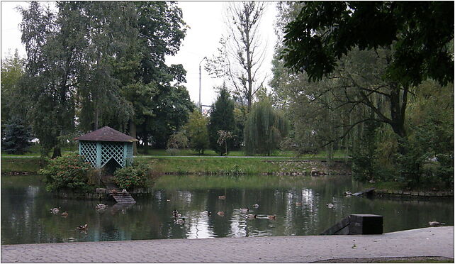 Staw w parku w radomsku, Lipowa 2, Radomsko 97-500 - Zdjęcia