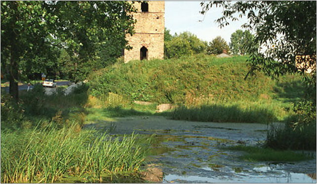 Stolpie (js), Nowosiółki-Kolonia, Nowosiółki-Kolonia 22-151 - Zdjęcia