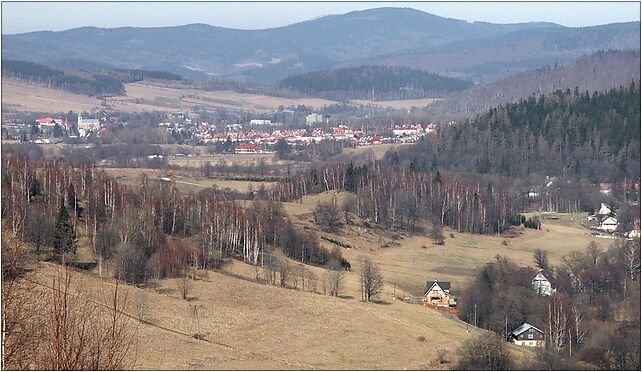 Stronie Śląskie i Borówkowa, Wrzosówka - Zdjęcia