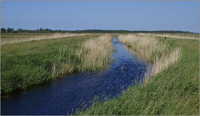 Strużka 2009-06, Nowy Borek, Nowy Borek 78-132 - Zdjęcia