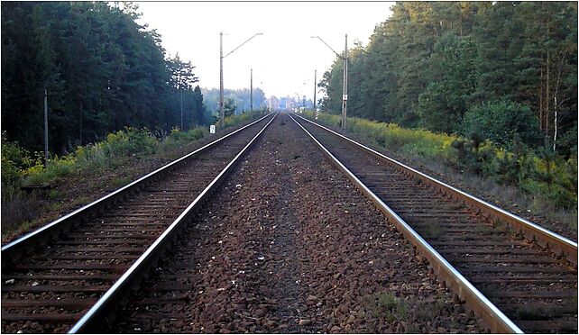 Strzebin-węzeł kolejowy, Ligonia, Strzebiń 42-288 - Zdjęcia