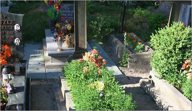 Strzelno - Grave 02, Łąkowa 5, Strzelno 84-103 - Zdjęcia