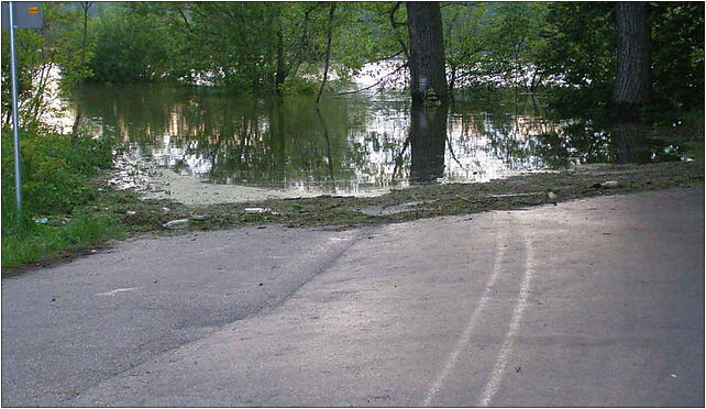 Strzyzawa 2010 (2), Lipowa, Ostromecko 86-070 - Zdjęcia