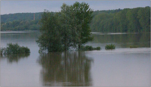 Strzyzawa 2010 (4), Strzyżawa, Strzyżawa 86-070 - Zdjęcia