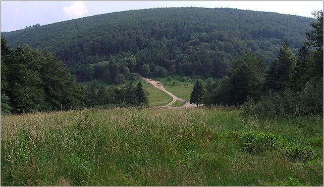 Sucha Przełęcz (Beskid Makowski) a1, Lipnik - Zdjęcia