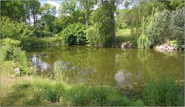 Sulicice - Pond 01, Sulicice 33, Sulicice 84-110 - Zdjęcia