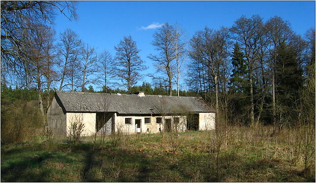 Swinobrod (gmina michalowo) - pozostalosci zabudowan, Świnobród 16-050 - Zdjęcia