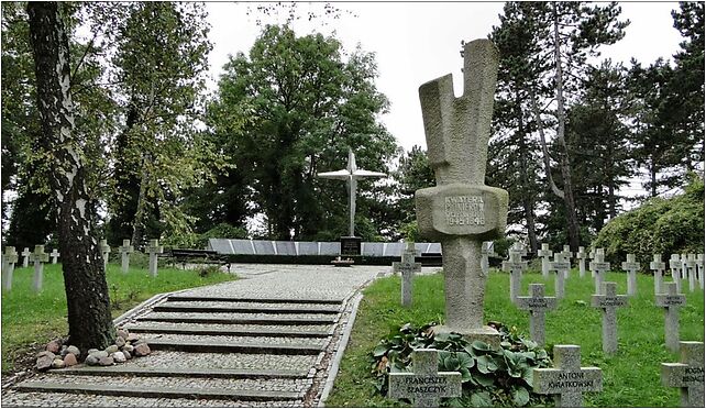 Szczecin Cmentarz Centralny Kwatera Pionierow Szczecina, Mieszka I od 71-046 do 71-080 - Zdjęcia