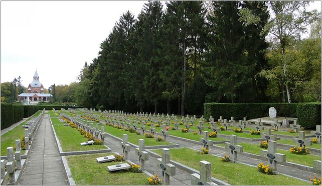 Szczecin Cmentarz Centralny kwatera wojenna pol, Mieszka I od 71-046 do 71-080 - Zdjęcia